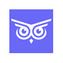 Brandwise logo