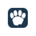 LAION logo