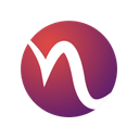 Netus logo