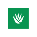 Stepseed logo