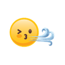 WindyFlo logo