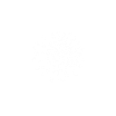 Wisio logo